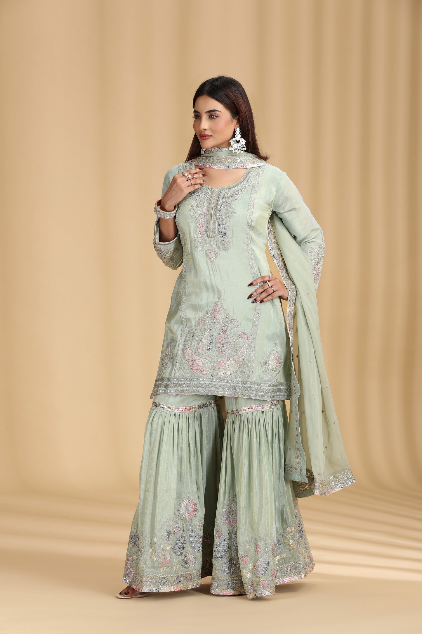 Pista Green Tissue Kurta Set with Pitta & Sequin Work