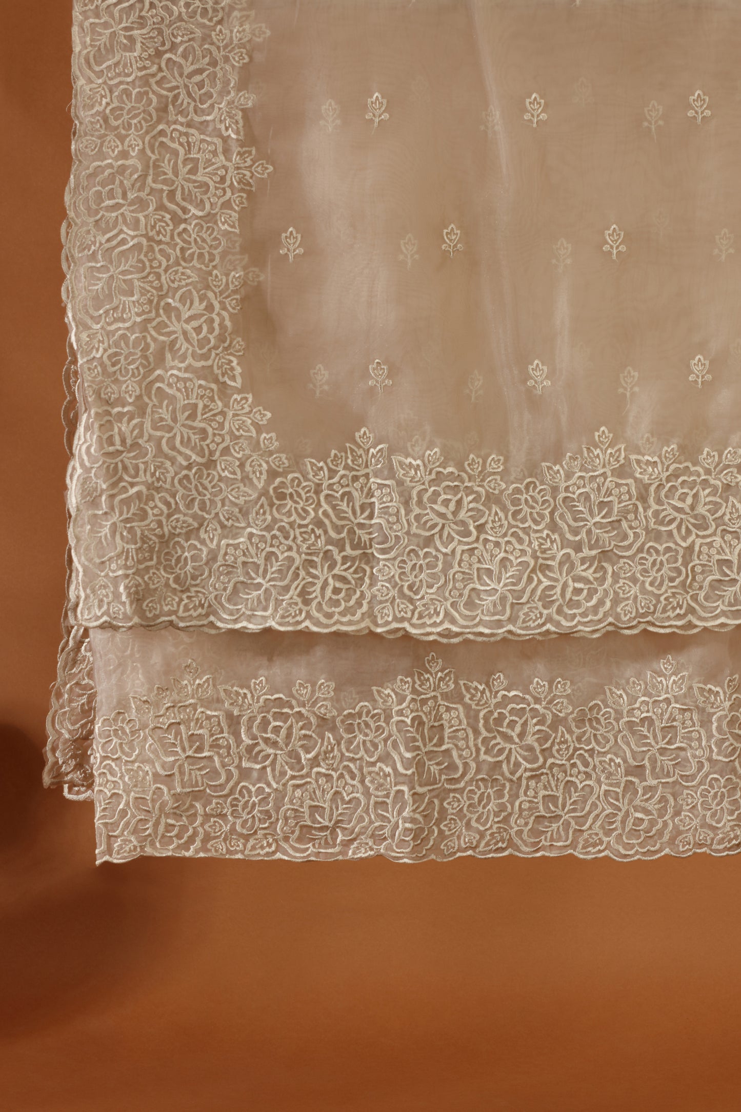 Beige Organza Suit Set with Elegant Resham Detailing