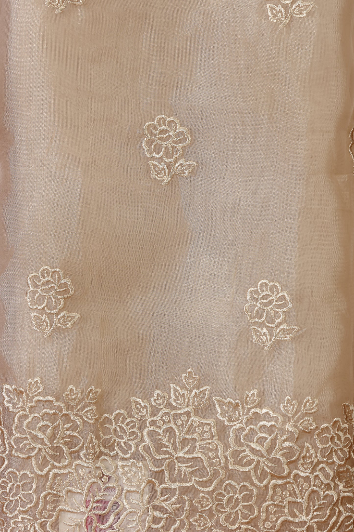 Beige Organza Suit Set with Elegant Resham Detailing