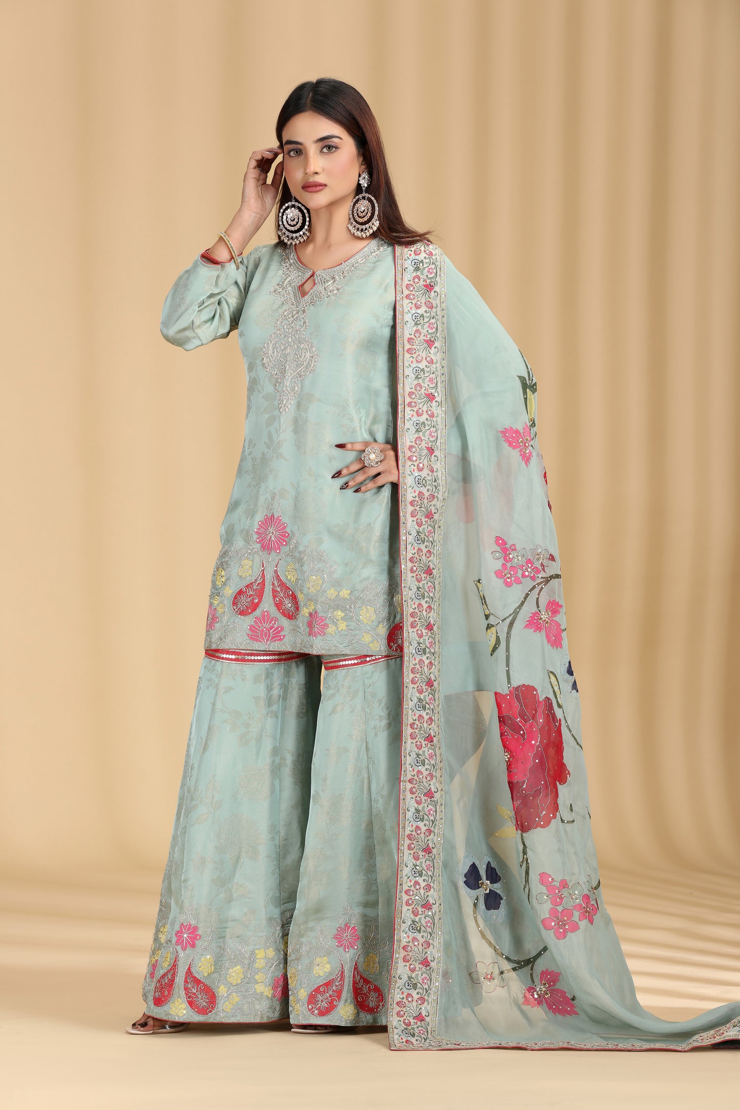 Green Tissue Organza Outfit with Aari & Appliqué Work