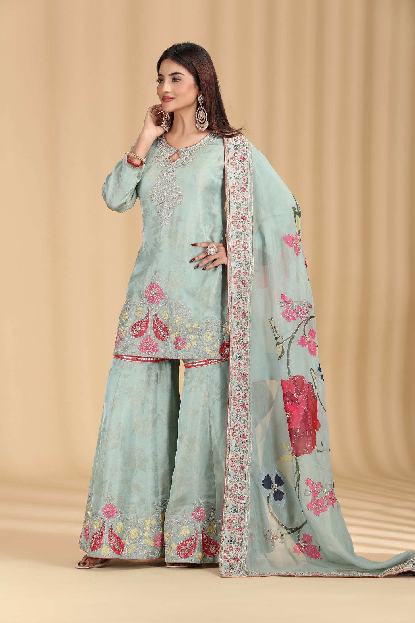 Green Tissue Organza Outfit with Aari & Appliqué Work