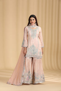 Peach Tissue Kurta Set with Pitta & Sequin Work