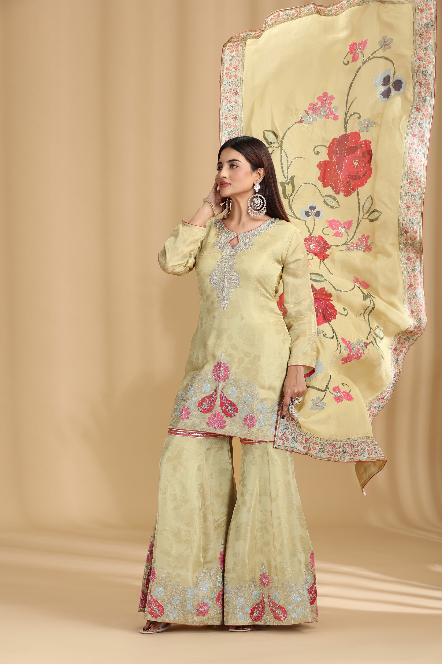 Green Tissue Organza Outfit with Aari & Zari Work