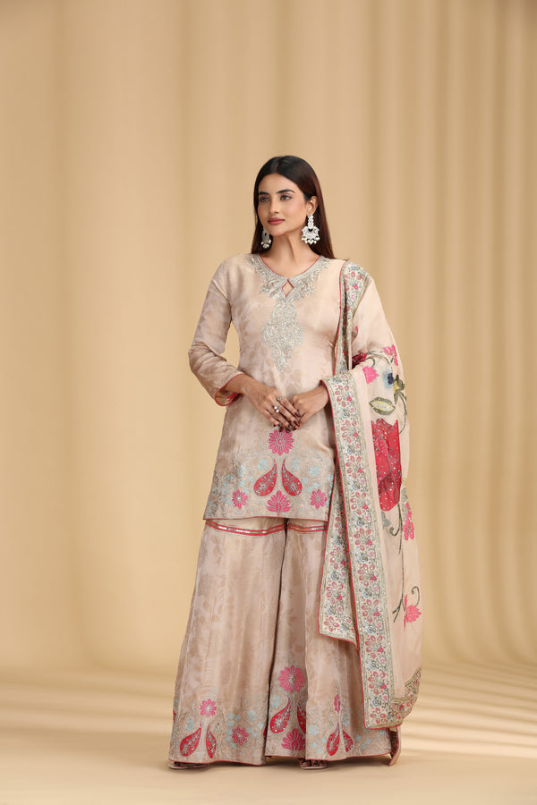 Beige Tissue Organza Outfit with Aari & Appliqué Work