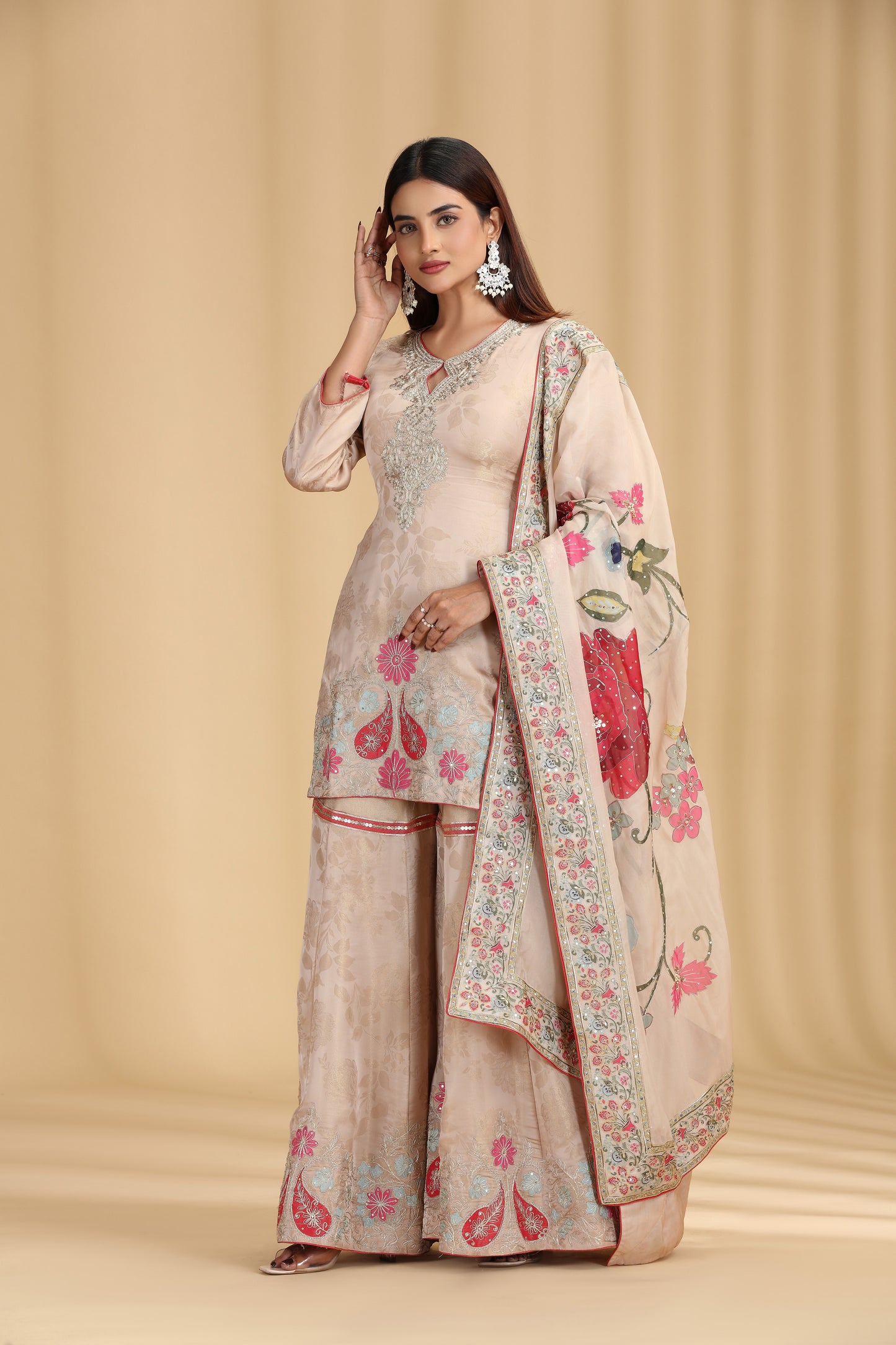 Beige Tissue Organza Outfit with Aari & Appliqué Work