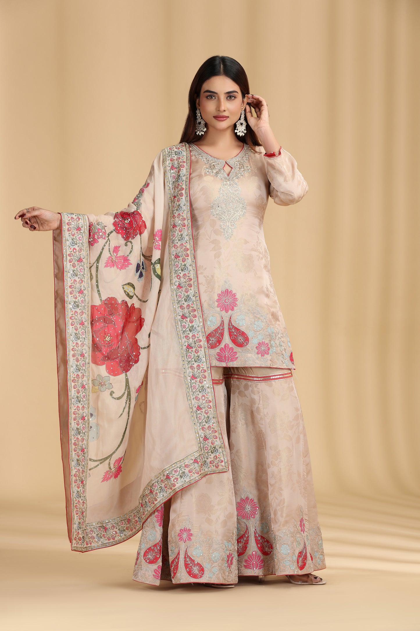 Beige Tissue Organza Outfit with Aari & Appliqué Work