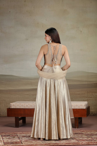 Gold Net & Velvet Outfit with Pearls & Zari Work