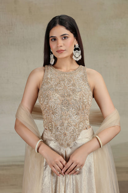 Gold Net & Velvet Outfit with Pearls & Zari Work