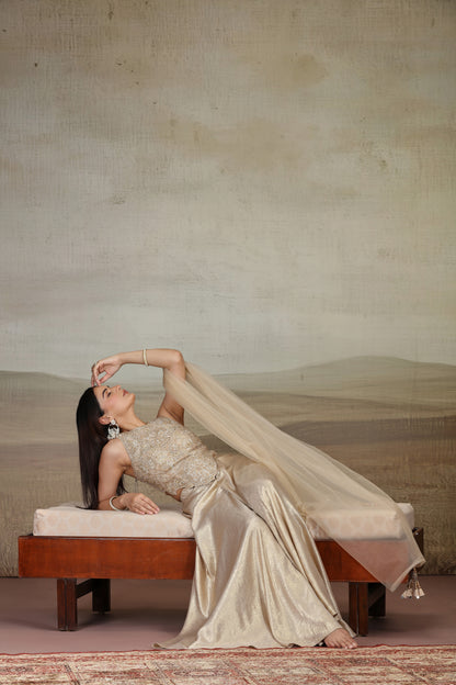 Gold Net & Velvet Outfit with Pearls & Zari Work