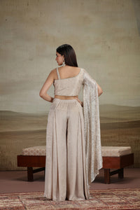 Gold Net & Velvet Outfit with Sequins & Stone Work