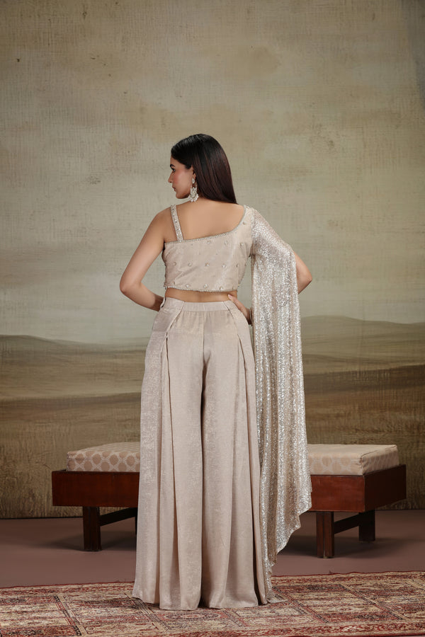 Gold Net & Velvet Outfit with Sequins & Stone Work