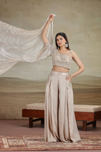 Gold Net & Velvet Outfit with Sequins & Stone Work