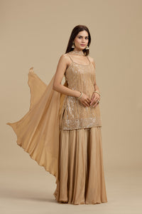 Gold Net Suit Set with Sequins & Cutdana Work