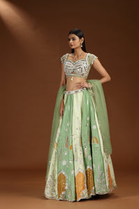 Woman wearing a green silk lehenga with a brown background