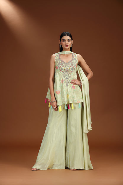 Woman wearing a light green Banarasi Silk Salwar Suit