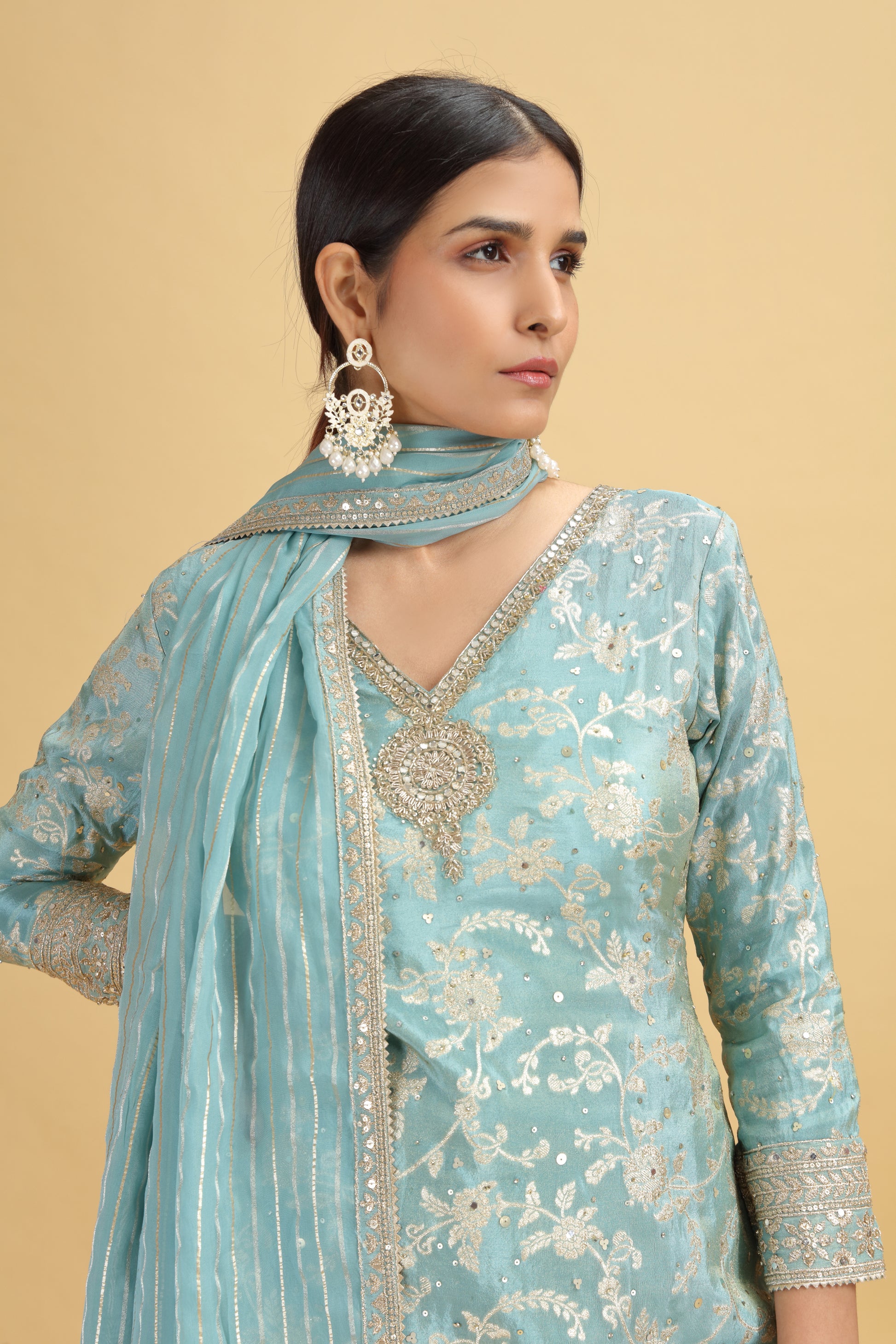 Woman wearing a light blue embroidered traditional outfit with a beige background