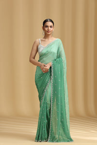 Woman wearing a light green saree with a beige background
