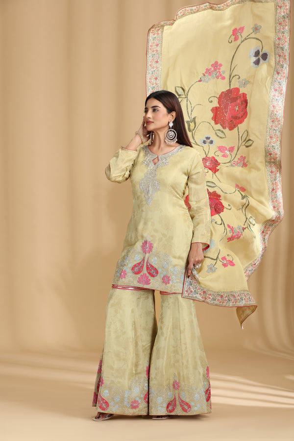 Green Tissue Organza Outfit with Aari & Zari Work