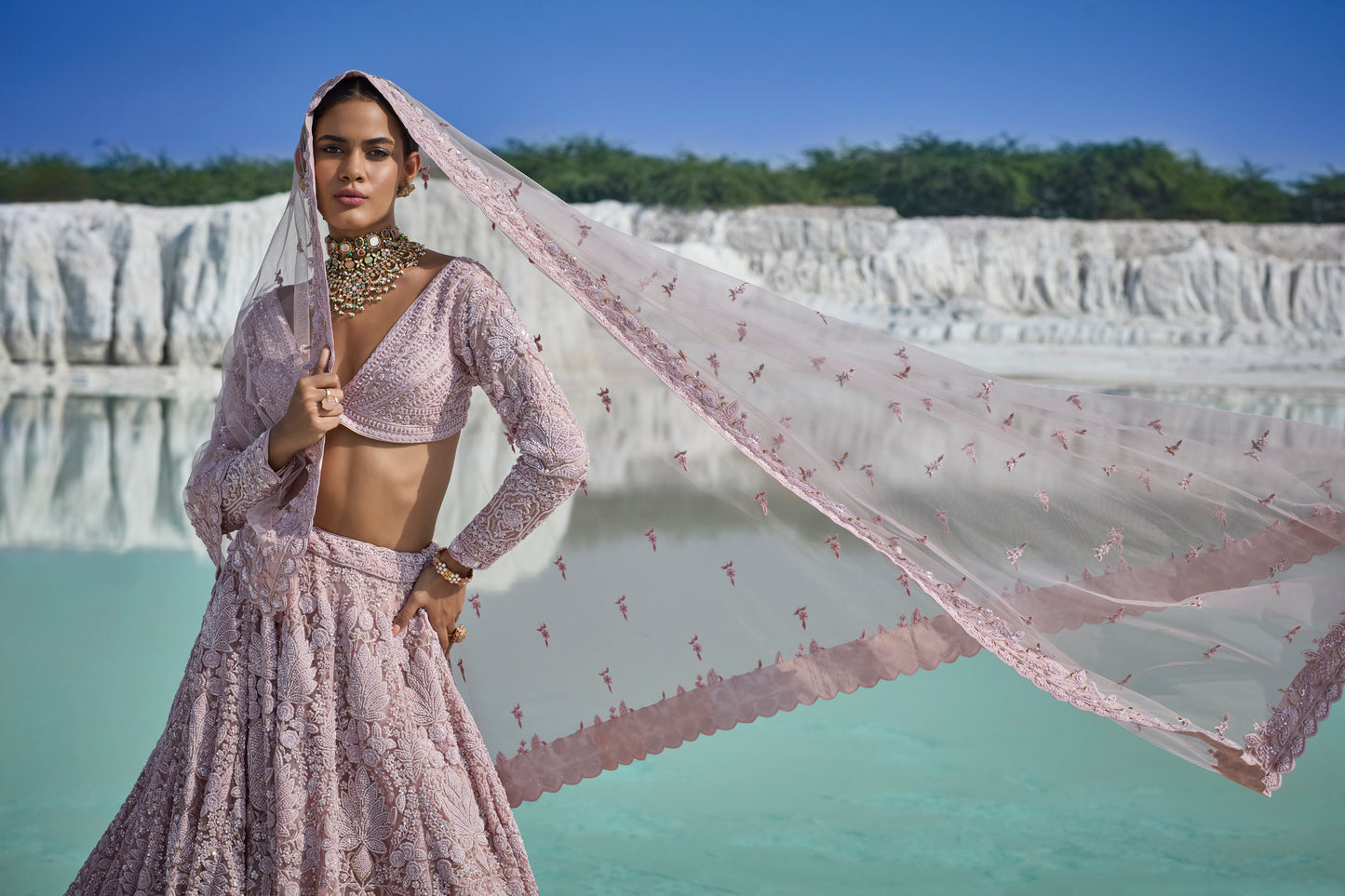Moonlit Heirlooms - Mauve Net Lehenga Set with Zardosi & French Knot Embellishments