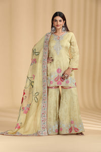 Woman wearing a light green organza embroidered traditional outfit with a matching dupatta on a beige background